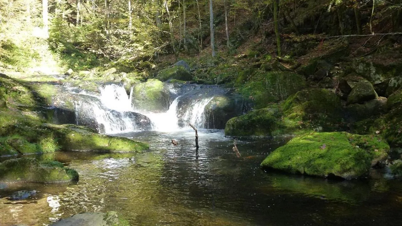 Ferienwohnung Fernblick Freyung 0*,